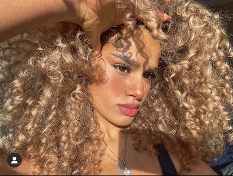 Golden Blonde Curly Hair, Blonde Hair Curls, Curled Blonde Hair, Curly Hair Beauty, Hairstyle Curly, Golden Blonde Hair, Blonde Curly Hair, Hair Curls, Curly Girl Hairstyles