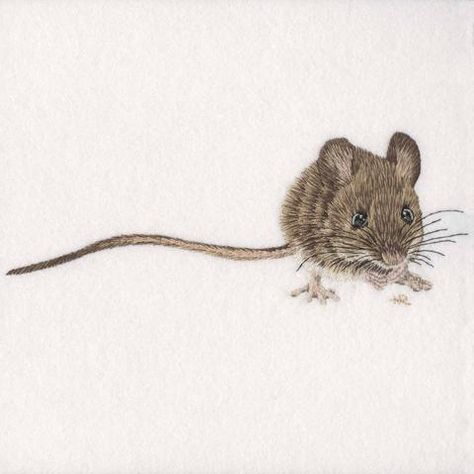 Embroidery Animals, Machine Work, Character Aesthetics, British Wildlife, Thread Painting, Animal Embroidery, Embroidery Needles, Embroidery Ideas, Embroidery Inspiration