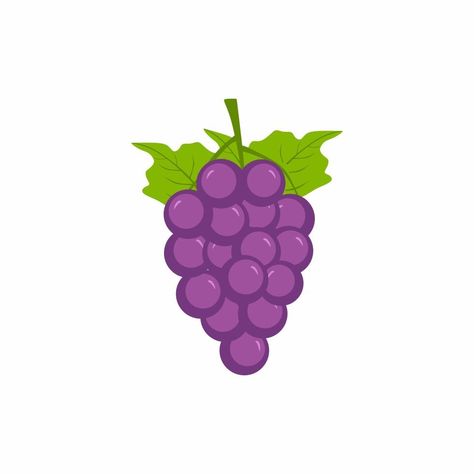 Grapes Purple, Paint Collection, Bunch Of Grapes, Grape Color, Purple Grapes, Grape Bunch, Animated Images, Autumn Season, Kawaii Drawings