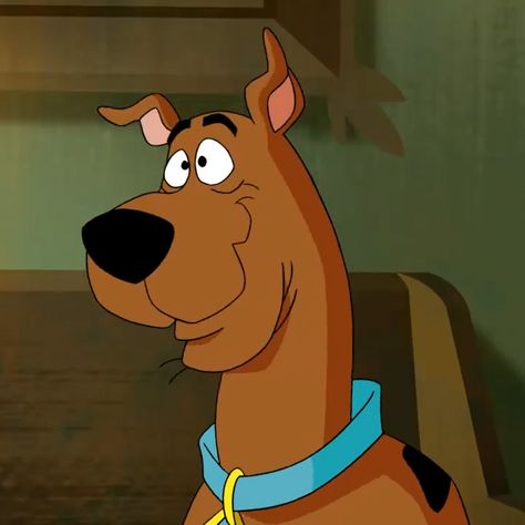 Scooby Dog, Mystery Incorporated, Scooby Doo Dog, Scooby Doo Pictures, Scooby Doo Movie, Scooby Doo Mystery Incorporated, Shaggy And Scooby, Scooby Doo Mystery, Spooky Town