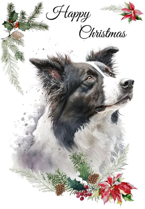 Border Collie Christmas, Border Collie Art, Dog Quotes Love, Dog Christmas Card, Christmas Border, Christian Cards, Border Collie Dog, Border Collies, Collie Dog