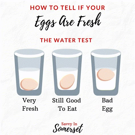 How To Test Eggs For Freshness - Savvy in Somerset Check Eggs For Freshness, Egg Test For Freshness, Egg Float Test, Egg Test, Storing Eggs, Aloe Vera Benefits, Prevent Food Waste, Apple Pie Bites, Lots Of Food