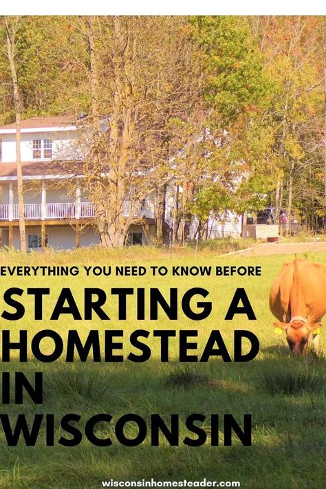 When you’re considering which state might be best to homestead in, many people overlook Wisconsin. However, Wisconsin can be a beautiful state to homestead in for a variety of different reasons. In this article, we’ll cover what you need to know about modern day homesteading in Wisconsin and take a look at how homesteading has evolved over the years. Wisconsin Gardening, Wisconsin Garden, Gardening Wisconsin, Wisconsin Landscaping Ideas, Iowa Homestead, Wisconsin Travel Summer, Wisconsin Nature, When To Plant Seeds, Seasons Chart