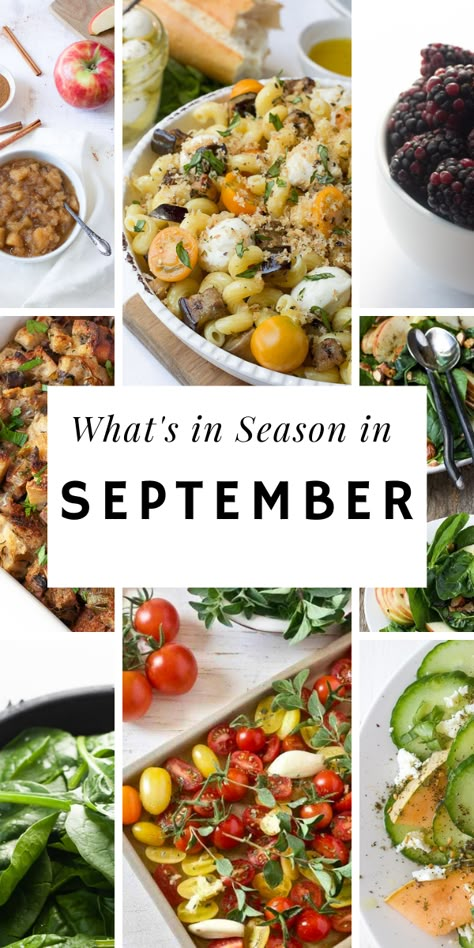 Check out what's in season in September with our seasonal produce guide #seasonalproduce #septemberproduce #mediterraneandietinfo #fallrecipes #latesummerrecipes #tomatorrecipes #cucumberrecipes #eggplantrecipes September Veggies In Season, What’s In Season September, Whats In Season September, September Vegetarian Meals, September In Season Produce, September Seasonal Food, September Seasonal Produce, September Food Recipes, September Vegetables In Season