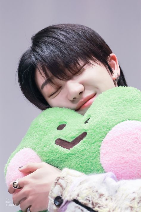 ©onthecloud_the8 Frog Plushie, Seventeen The8, Seventeen, On Twitter, Twitter