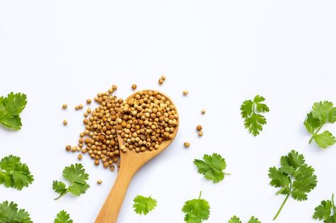 Photo coriander seeds with fresh leaves ... | Premium Photo #Freepik #photo #coriander #cilantro #parsley #coriander-leaves Cilantro Parsley, Coriander Leaves, Coriander Seeds, Premium Photo, Parsley, Cilantro, Seeds, Stock Photos, Quick Saves