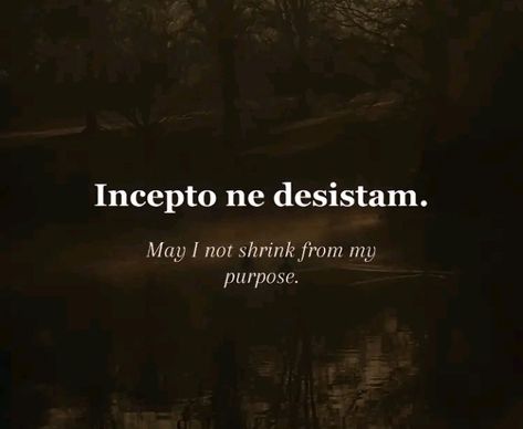 Latin Quotes With Translation, Short Latin Quotes, Dark Latin Phrases, Latin Quotes And Meanings, Translated Quotes, Dnd Quotes, Latin Proverbs, Wallpaper Bagus, Latin Sayings