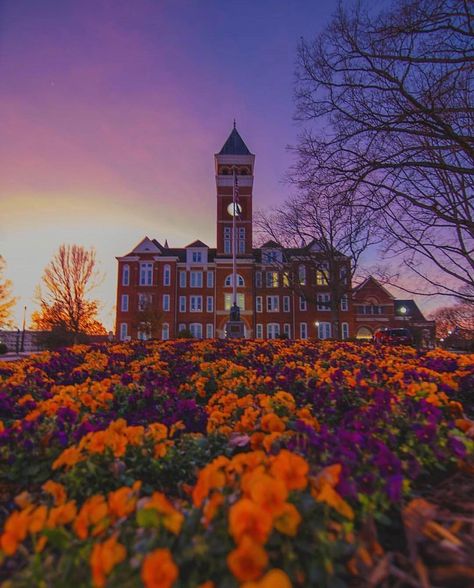 There is just something in these hills! 🌅 . . #Clemson #clemsonuniversity #campus #beautiful #sunset #special #purple #orange #college… Clemson Aesthetic, Clemson Wallpaper, Clemson University Campus, Clemson Campus, Clemson South Carolina, Clemson Tigers Football, Clemson Fans, Clemson Football, And So It Begins