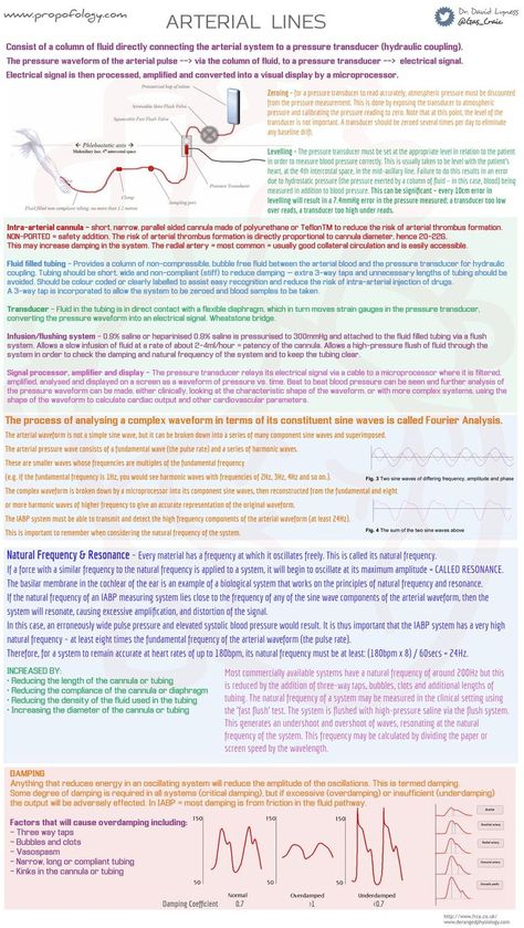 Arterial Line Nursing, Critical Care Nurse, Arterial Line, Respiratory Therapist Student, Nurse Brain Sheet, Nurse Teaching, Brain Surgeon, Nursing Information, Medicine Notes