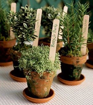 Potted Plant Centerpieces, Herb Centerpieces, Green Wedding Favors, Herb Wedding, Plant Centerpieces, Trendy Wedding Favors, Tattoo Plant, Bouquets Wedding, Eco Friendly Wedding