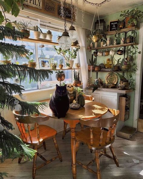 Witchy Kitchen Aesthetic, Witch Home Aesthetic, Witch Cottage Interior, Hippie Apartment Aesthetic, Witchy Living Room, Hippie Apartment, Herb Kitchen, Boho Decorating, Witchy House