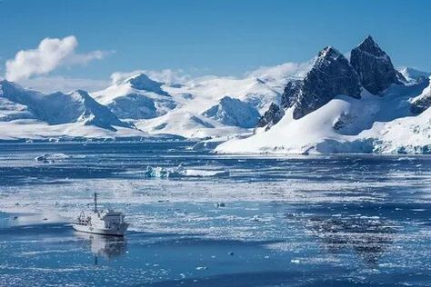 Antarctic Ocean, Arctic Wildlife, Canadian Armed Forces, Atlantic Canada, Arctic Ocean, Armed Forces, Cruises, Cruise Ship, Polar Bear