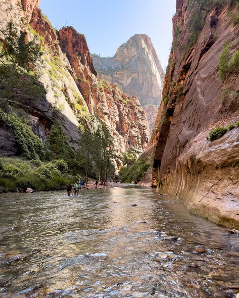 Narrowing down my Bucketlist 😜 The Narrows hike in Zion National Park is one of my favourite and most unique hikes I’ve done. Hiking through the river, below the towering canyon walls was truly an incredible experience #zionnationalpark #bucketlisthike #uniquehikes #visitutah #travelusa Texas Hiking Trails, Zion Narrows, Road Trip Across America, Arizona Trip, Pretty Scenery, Visit Utah, The Narrows, Arizona Travel, Summer Road Trip