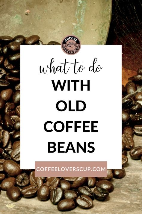 Wondering what to do with old coffee beans? We have a ton of ideas to use up old coffee! From fertilizer to cleaner to arts and crafts and more - we have everything you need to make the most out of your coffee beans! Coffee Beans Art Crafts, Coffee Bean Air Freshener Diy, Coffee Bean Art Crafts, Coffee Beans Crafts, Crafts With Coffee Beans, Coffee Bean Uses, Coffee Bean Crafts, Coffee Beans Diy, Coffee Bean Decor