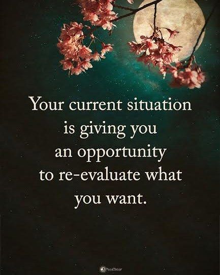 Your current situation is giving you an opportunity to re-evaluate what you want. #powerofpositivity Encourage Quotes, Want Quotes, Positive Words, Encouragement Quotes, A Quote, Words Of Encouragement, Famous Quotes, Meaningful Quotes, Great Quotes