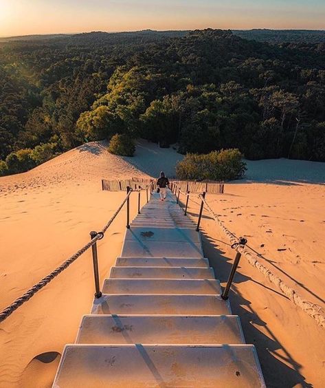 2,399 mentions J’aime, 34 commentaires - Vivre le Bassin d’Arcachon (@vivrelebassin) sur Instagram : "Descend, descend pas ? 📷 @l.atelier_deco_d.aci ・・・ #bassindarcachon #dunedupilat #pins #foret…" Bordeaux France, Cap Ferret, Aquitaine, Sea And Ocean, Landscape Wallpaper, South Of France, Nature Animals, Toulouse, Travel Aesthetic