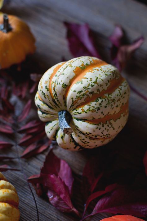 Pumpkin & sweet potato soup | Travelling oven Pumpkin Sweet Potato Soup, Pumpkin Sweet Potato, Pumpkin Vegetable, Nature Designs, Food Art Photography, Cold Autumn, Fresh Avocado, Sweet Potato Soup, Organic Forms