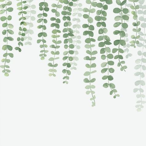 Collection of hand drawn plants isolated on white background Ipad Wallpaper Aesthetic Horizontal Boho, Boho Macbook Wallpaper Horizontal, Eucalyptus Background Wallpapers, Plant Astethic Wallpaper, Eucalyptus Wallpaper Iphone, Macbook Wallpaper High Quality Minimalist, Chrome Book Wallpapers Aesthetic, Computers Background, Cute Plant Wallpaper