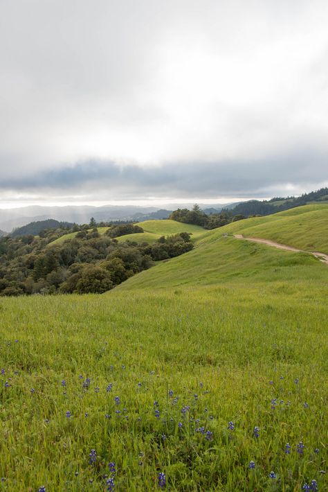 Calming View, Open Landscape, Environment Photography, Calm Nature, Calming Nature, Places In California, Spring Wildflowers, Countryside House, Before Sunset