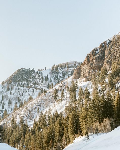 It’s still winter up in the mountains! These snowy engagements were so cozy ❄️🤍 #utahweddingphotographer #utahweddingvideographer #utahphotographylocations #jordanpinescampground #snowyengagementsession Utah In Winter, Snowy Mountain, Winter Mountain, Utah Wedding Photographers, Wedding Videographer, Location Photography, Utah Weddings, The Mountain, Utah