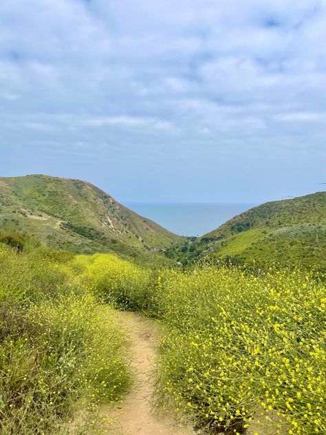 Beautiful 3 Mile Hike in Malibu, CA Malibu Mountains, Malibu Hikes, Malibu Creek State Park, Southern California Travel, Santa Monica Mountains, Hiking Aesthetic, Los Angeles Travel, Malibu Beaches, Small Waterfall