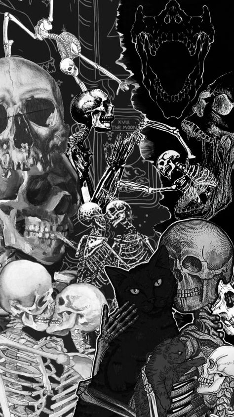 #skeleton Skeleton Art Wallpaper, Skeleton Iphone Wallpaper, Edgy Collage, Aethstetic Wallpapers, Skeletons Wallpaper Aesthetic, Skull Artwork Illustrations, Wallpapers Halloween, Skeleton Wallpaper, 3d Wallpaper Iphone