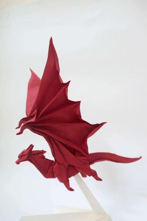 Diy Paper Lanterns, Paper Lanterns Diy, Creative Origami, Origami Dragon, Origami And Kirigami, Paper Craft Ideas, Instruções Origami, Origami Paper Art, Paper Origami