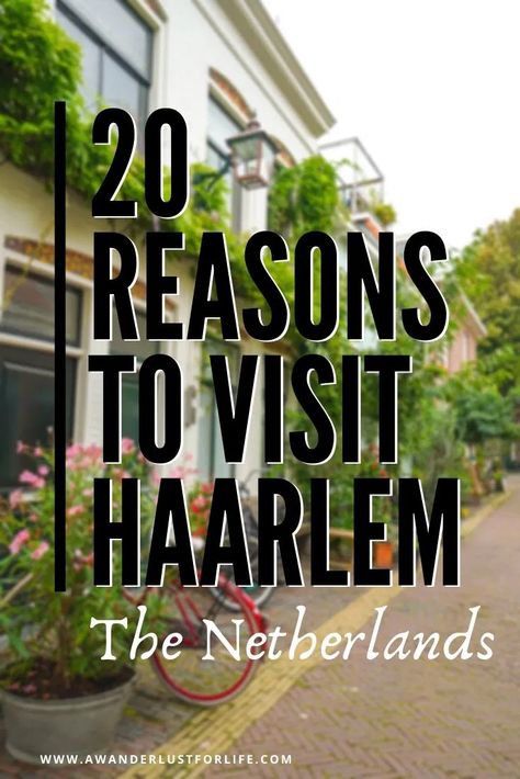 20 reasons to visit Haarlem on your next trip to the Netherlands - A Wanderlust for Life Harlem Netherlands, Kings Day Amsterdam, Tulip Fields Netherlands, Sail Amsterdam, Netherlands Travel Destinations, Amsterdam Christmas, Netherlands Trip, Travel Netherlands, Amsterdam Tulips