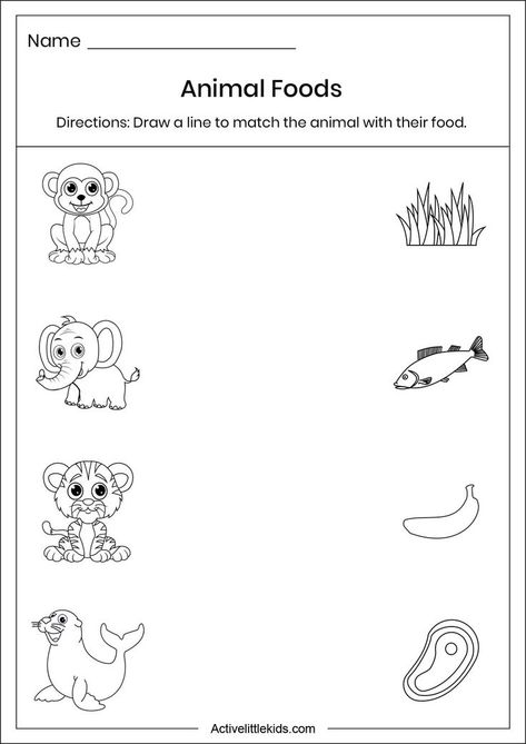 Free download animals worksheets for preschool. Food Worksheet, Animal Worksheets, Worksheets For Preschool, About Animals, Preschool Learning Activities, Cute Animal Drawings, Preschool Learning, Preschool Worksheets, Exotic Pets