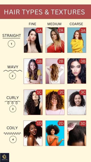 tribalcares on Instagram: "In case you didn’t know there are 12 hair patterns - which one is yours? The most common ones are the straight hair pattern and the wavy hair pattern. 👩🏼👩‍🦱 I want to know what your hair pattern is! Leave a comment below with an S for Straight Hair Pattern, W for Wavy Hair Pattern or M for Mixed Hair Pattern. Let’s talk in comments.🍷🙌🏻 . . . . . . Follow #tribalcares #hair #textures #types #hairtypesforeveryone #typeofhair #hairtypes #hairtype #naturalhairdoesca Hair Patterns Chart, Hair Texture Chart, Hair Pattern, Organic Hair Care, Hair Textures, Hair Patterns, Mixed Hair, Coily Hair, I Want To Know