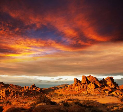 gobi Deserts! Ice, Sand and Beauty Sky Scenery, Desert Scenery, Earth Layers, Desert Sunrise, Gobi Desert, Beautiful Desert, Food Chain, Places Of Interest, Incredible Places