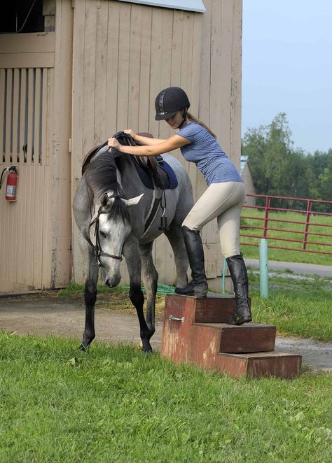 Mounting A Horse, Horse Behavior, Horse Info, Equestrian Helmet, Horse Training Tips, Horse Tips, My Horse, Neck And Back Pain, Horse Health