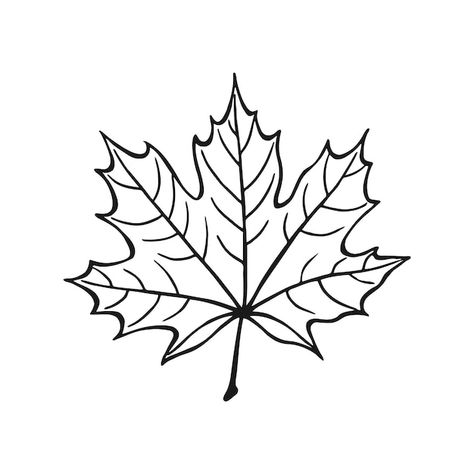 Maple Leaf Sketch, Maple Leaf Outline, Maple Leaf Line Drawing, Maple Leaf Embroidery Pattern, Maple Leaf Vector, Maple Leaf Drawing, Leaves Sketch, Tree Outline, Leaf Outline