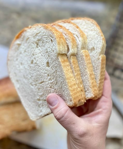 The Best Sourdough Discard Sandwich Bread - Amy Bakes Bread Soft Sandwich Bread Recipe, Sourdough Discard Sandwich Bread, Discard Sandwich Bread, Sandwhich Bread, Sourdough Starters, Sourdough Muffins, Discard Recipe, Sourdough Bread Sandwiches, Artisan Breads