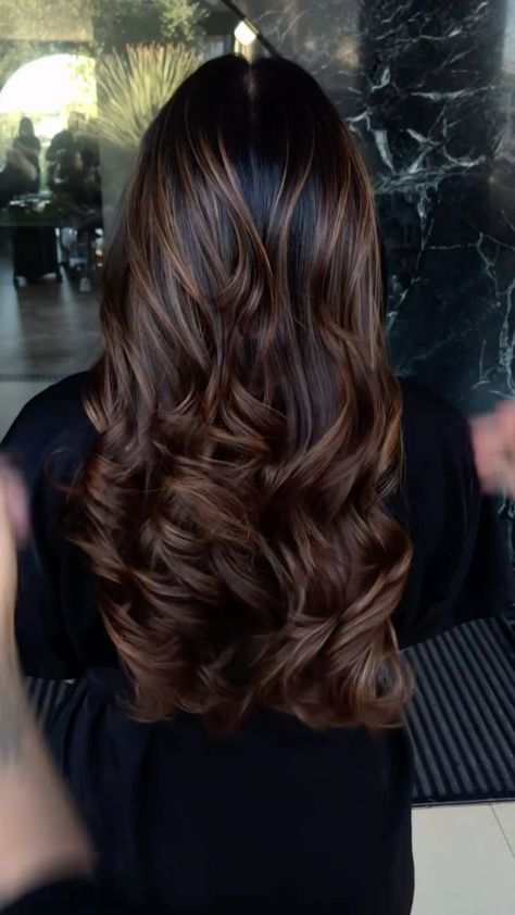 Hair Color For Brown Skin, Balayage Caramel, Highlights Curly Hair, Black Hair Balayage, Brown Hair Inspo, Hair Inspiration Long, Hair Tint, Hair Color Caramel, Brunette Hair With Highlights