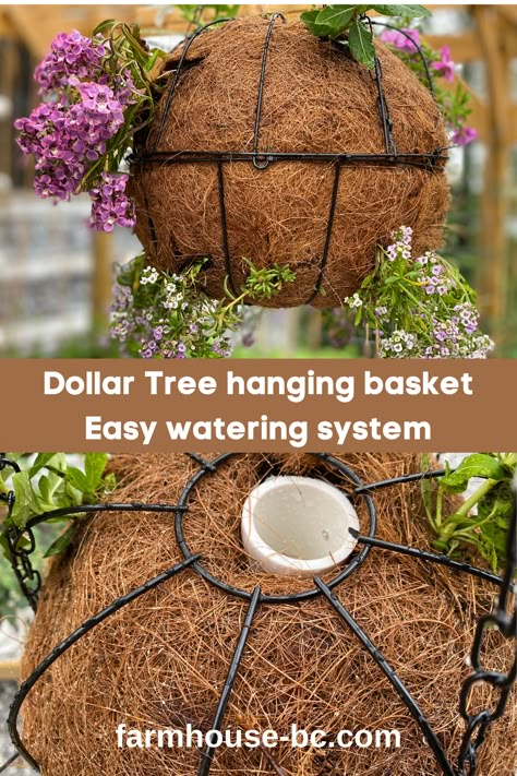 Hanging Baskets Diy, Hanging Basket Garden, Hanging Plants Outdoor, Hanging Plants Diy, Diy Hanging Planter, Hanging Flower Baskets, Flower Baskets, Container Gardening Flowers, Hanging Flower Pots