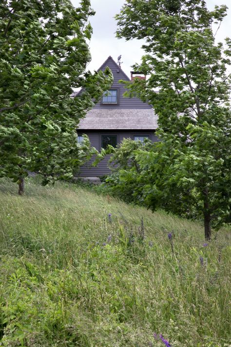 Colonial Landscaping, Terraced Landscape, Michigan Landscaping, New England Farm, New England Garden, New England Aesthetic, Trees For Front Yard, New England Farmhouse, Cottage Lake