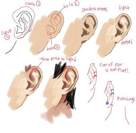 How To Draw Ears, Digital Art Beginner, Gambar Figur, Coloring Tutorial, Digital Painting Tutorials, Anatomy Reference, Anime Drawings Tutorials, Anatomy Art, Drawing Tutorials