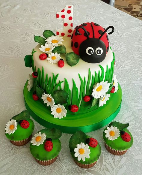 Lady Bug Cake @reginabron Lady Bird Birthday Cake, Ladybug Cake Decoration, Ladybug Themed Cake, Ladybird Cake Ideas, Ladybird Birthday Cake, Ladybug Smash Cake Ideas, Birthday Cake Ladybug, Lady Bird Cake, Bugs Birthday Cake