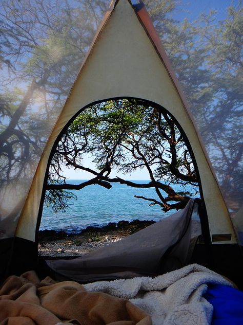 Lets go camping Camping Aesthetic, Beach Camping, Life Plan, Camping Ideas, Camping Life, The Plan, Go Camping, Adventure Awaits, Goa