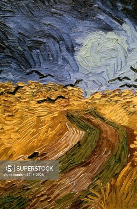 Superstock offers millions of photos, videos, and stock assets to creatives around the world. This image of Crows over Wheat Field (detail), 1890, Vincent van Gogh, (1853-1890/Dutch) by Image Asset Management is available for licensing today. Wheatfield With Crows, Van Gogh Museum, Post Impressionists, Large Picture Frames, Crows, Large Picture, Vincent Van Gogh, Medium Art, Art Reproductions