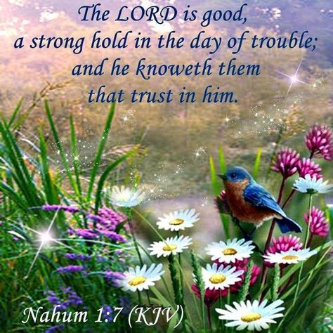 Kjv Bible Quotes, Nahum 1 7, Faith Sayings, Bible Verses Kjv, King James Bible Verses, Trust In Him, Bible Promises, Kjv Bible, The Lord Is Good