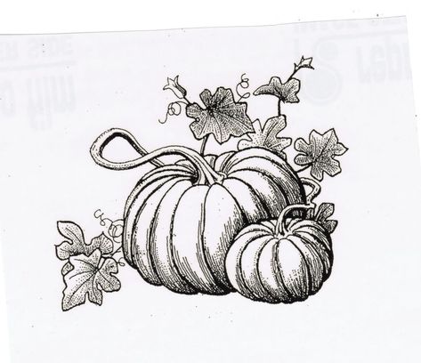 Germany Tattoo, Pumpkin Tattoo, Autumn Tattoo, Pumpkin Drawing, Dinosaur Tattoos, The Great Pumpkin, Thanksgiving Harvest, Wild Tattoo, Craft Stamps