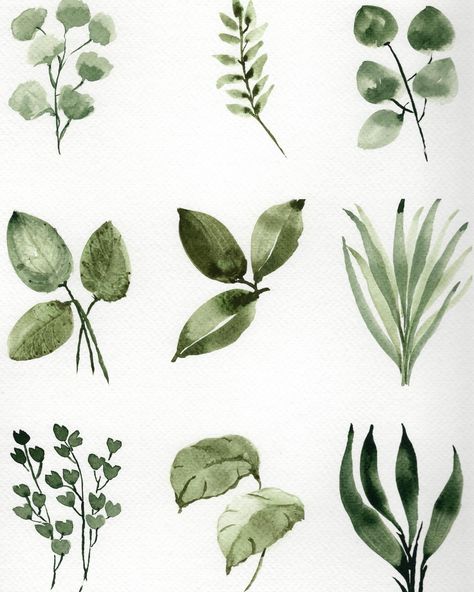 Do you have a favorite? We’re learning how to paint these compositions in the next 3 classes. 1. Loose Florals 2. Wildflowers 3. Leaf Study So which is your favorite? 1, 2, or 3? And if you’re signed up for class, which class will we be painting together? I can’t wait!! #huart #watercolor #watercolorart #watercolortips #watercolorist #learnwatercolor #watercolorpainting #watercolorbeginners #watercolordaily #artreels #duluth #duluthmn #art #watercolortutorial #artinspiration #duluthevents... Watercolor Leaf, Learn Watercolor, Watercolor Tips, Island Lake, Duluth Mn, Print Greeting Cards, Favorite Paint, Watercolor Art Lessons, Watercolor Leaves