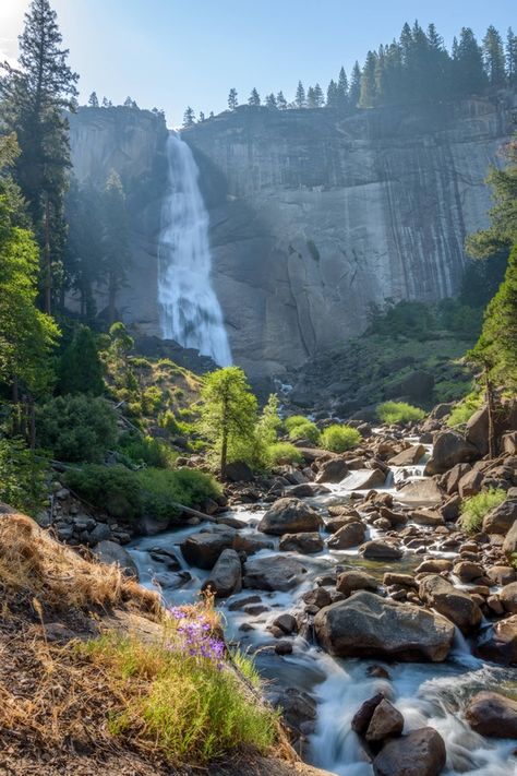 Tattoo God, 숲 사진, Usa Places, Yosemite Park, California Camping, National Park California, Water Falls, California National Parks, National Parks Usa