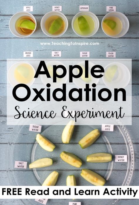 Apple Science Experiments, Kids Science Fair Projects, Science Fair Experiments, Vetenskapliga Experiment, Fall Science, Science Experiment For Kids, Experiment For Kids, Science Reading, Reading Activity