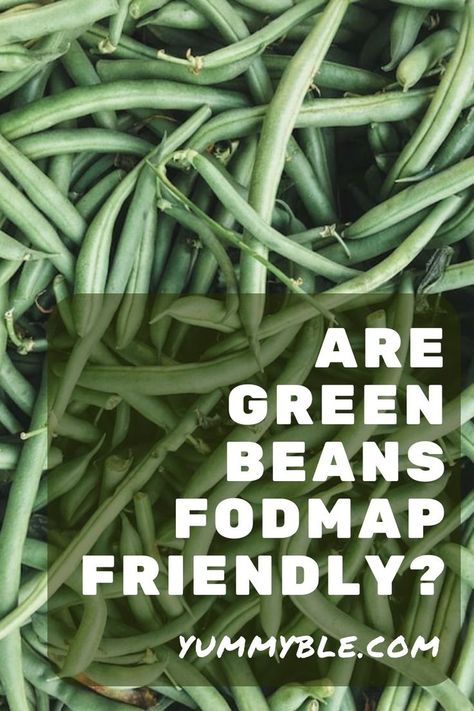 New to the low FODMAP diet and wondering if green beans are FODMAP-friendly? This post covers everything about green beans and bonus! There's even a few low FODMAP green bean recipe at the end of the post! Ibs Recipes Dinner, Green Beans Casserole, Low Fodmap Vegetarian, Ibs Diet Plan, Green Bean Recipe, Fodmap Recipes Dinner, Low Fodmap Recipes Dinner, Fodmap Breakfast, Low Fodmap Snacks