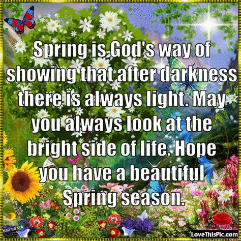 . Spring Is Here Pictures, Happy Spring Day Pictures, Happy Spring Day Quotes, Spring Day Quotes, Welcome Spring Quotes, Happy Spring Images, First Day Of Spring Quotes, Spring Season Quotes, Happy Spring Quotes