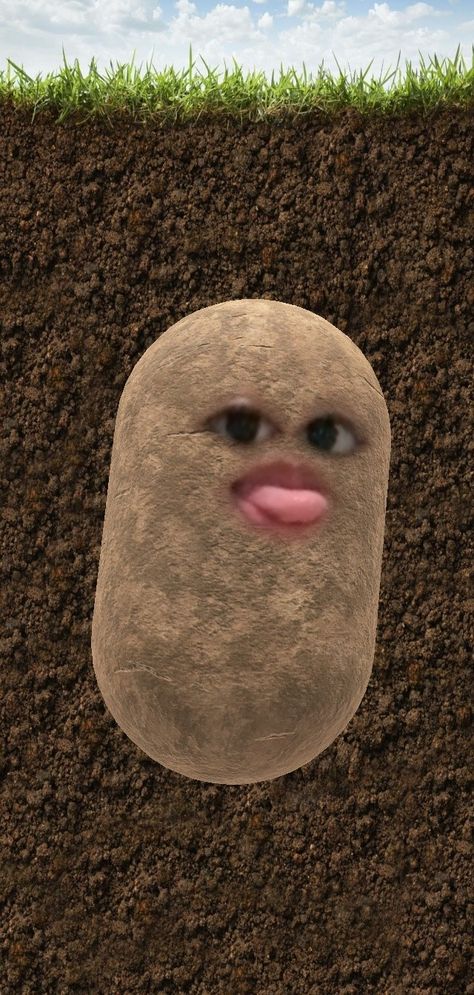 Potato Filter, Potato Meme, Funny Filters, Potato Face, Beauty And The Beast Art, Potato Funny, Cute Potato, Instagram Photo Frame, Cool Face