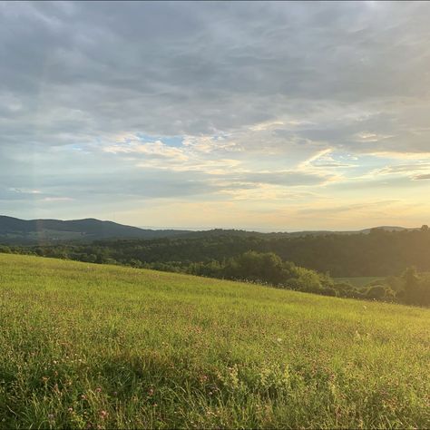 Foreground Middleground Background Photo, Grasslands Aesthetic, Plains Aesthetic, Peaceful Field, Green Nature Landscape, Pretty Field, Land Aesthetic, Sunny Landscape, Plains Landscape